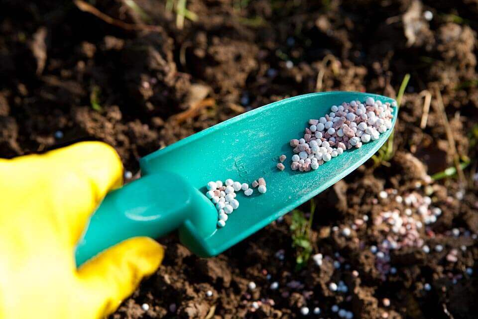 Chelating agents: a key force for sustainable and efficient agricultural production