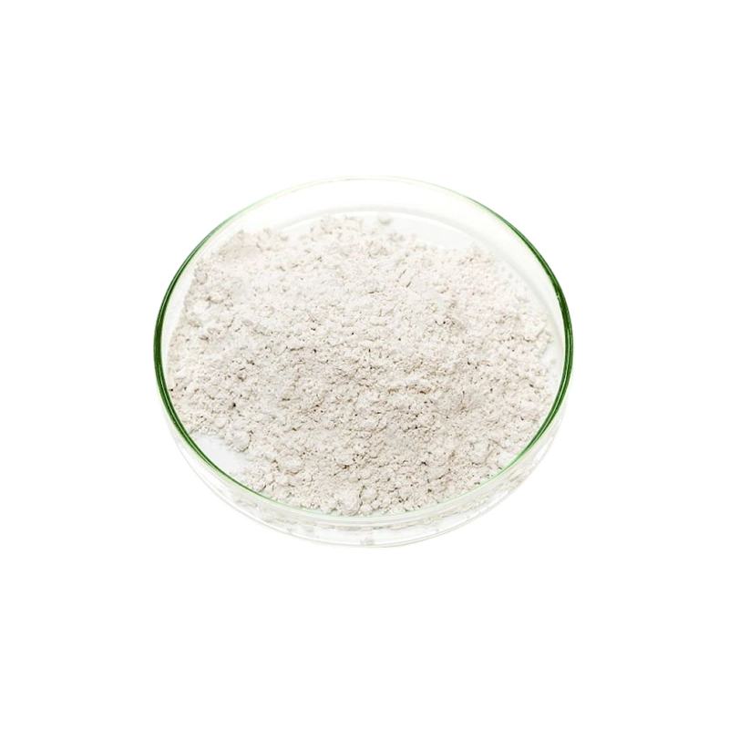 L Aspartic Acid (L Aspartic Acid)